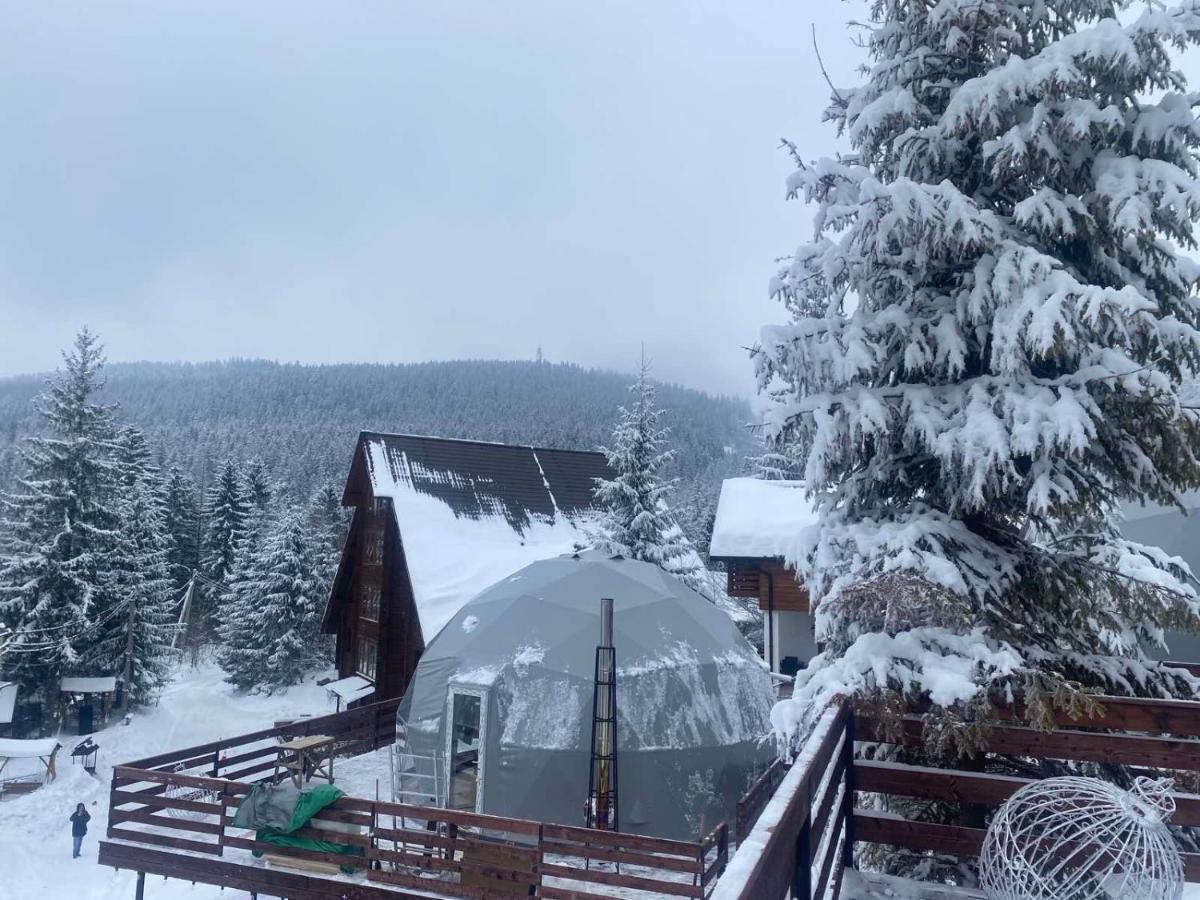 Karpatski Dzherela Jaremtsche Exterior foto